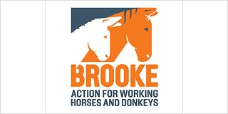 Brooke India partner logo